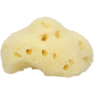 Sponge bath PNG-81425